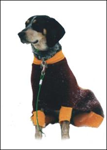 Click to view exif information